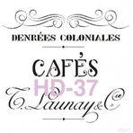 Cadence Home Decor HD-37 Stencil 45x45 cm Boyama Şablonu