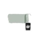 Cadence OCF17 Yonca Yeşil Akrilik Duvar Boyası - One Coat Finish 2.5lt