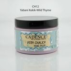 Cadence Yabani Kekik Very Chalky 150ml Mobilya Boya