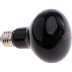 Cadia 220-240V Terrarium Lamba 25/40/100W Sürüngen Glow Moonlight Ampul (Yurt Dışından)