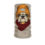 CafBaf Bandux Bandana Cool Dog