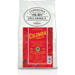 Caffe Corsini Kolombiya Medellin %100 Arabica Çekirdek Kahve 250 gr
