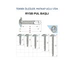 ÇAĞDAŞ AY-CİV 3.9X16 Rysb Matkap Uçlu Vida Pul Başlı 100 Adet