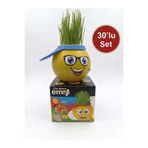 Çağdaş Oyuncak 30'lu Emojili Çim Adam Seti | Dekoratif Saksı Oyuncak | Eğitici & Eğlenceli Hediye |