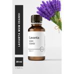 Cageartstudio Lavanta Mum Esansı 20 Ml, Yüksek Kalite Mum Esansı, Mum Koku Esansı, Soya Wax Esansı 20ml