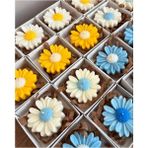 Çağıl Candles Papatya Figürlü Mum 10 Adet | Kutulu Söz Ppm-05-Rnkhediyelik Mum | Renkli Seri