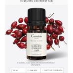 Caintela Kuşburnu Çekirdeği Yağı 20 ml – Cilt Besleyici ve Nemlendirici, %100 Doğal ve Saf