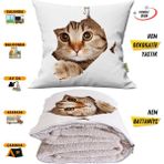 Caisya Home 38x38 cm Renkli Sevimli Kedi Desenli Opsiyonel Battaniyeli Yastık Dekoratif Kırlent
