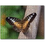 Caka Tablo Ağaç Üzerinde Sarı Siyah Kelebek 255 Parça Puzzle