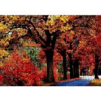 Caka Tablo Ağaçlı Yol ve Sonbahar Yaprakları 1000 Parça Puzzle