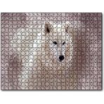 Caka Tablo Beyaz Kurt Puslu Zemin Görseli 500 Parça Puzzle