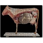Caka Tablo İneğin İç Organlarının Görseli 255 Parça Puzzle