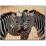 Caka Tablo Savanada Üç Kafadar Zebra Yakın Plan 255 Parça Puzzle