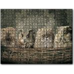 Caka Tablo Sepetin İçinde Üç Kedi ve Bir Baykuş 255 Parça Puzzle
