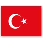 Caka Tablo Türk Bayrağı 35x50 cm Ahşap Tablo