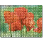 Caka Tablo Turuncu Gelincikler 1000 Parça Puzzle