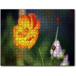 Caka Tablo Yabani Portakal Çiçeği 255 Parça Puzzle