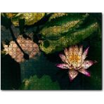 Caka Tablo Yıldız Lotus Çiçeği Görseli 1000 Parça Puzzle
