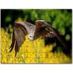 Cakapuzzle Aang Avatar Son Görseli 255 Parça Puzzle