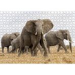 Cakapuzzle Afrika Safarisinde Filler 120 Parça Ahşap Puzzle