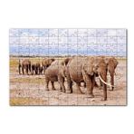 Cakapuzzle Afrika Savanada Filler Bir Arada 120 Parça Ahşap Puzzle