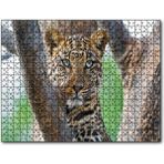 Cakapuzzle Ağaç Dallarında Genç Leopar Mdf 120 Parça Puzzle