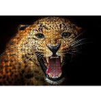 Cakapuzzle Agresif Leopar Siyah Zemin 120 Parça Ahşap Puzzle