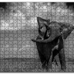 Cakapuzzle Asya Fili Ahşap 500 Parça Puzzle