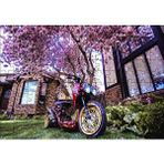 Cakapuzzle Bahçe Pembe Çiçekli Ağaç Modifiyeli Motorsiklet Mdf 120 Parça Puzzle