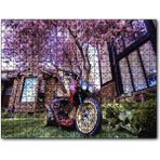 Cakapuzzle Bahçe Pembe Çiçekli Ağaç Modifiyeli Motorsiklet Mdf 255 Parça Puzzle