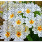 Cakapuzzle Bayaz Çuha Çiçeği Görseli Mdf 120 Parça Puzzle