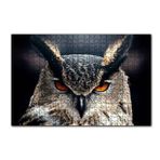 Cakapuzzle Baykuş Kalın Kaşlar Yakın Çekim 120 Parça Ahşap Puzzle