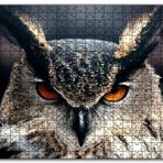 Cakapuzzle Baykuş Kalın Kaşlar Yakın Çekim Mdf 120 Parça Puzzle