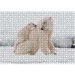Cakapuzzle Beyaz Ayı Ailesi Kutup 120 Parça Ahşap Puzzle
