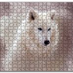 Cakapuzzle Beyaz Kurt Puslu Zemin Görseli Mdf 1000 Parça Puzzle