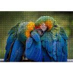 Cakapuzzle Bir Çift Mavi Macaw Papağanı 120 Parça Ahşap Puzzle