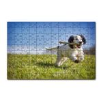 Cakapuzzle Çayırda Oyun Oynayan Sevimli Köpek 120 Parça Ahşap Puzzle