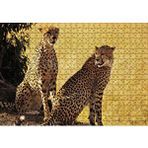 Cakapuzzle Çift Leopar 120 Parça Ahşap Puzzle
