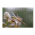 Cakapuzzle Daldaki Yusufçuk Yakın Çekim 120 Parça Ahşap Puzzle