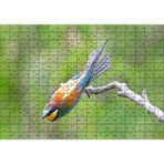 Cakapuzzle Daldan Ayrılmak Üzere Olan Rengarenk Kuş 120 Parça Ahşap Puzzle