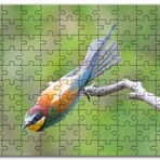 Cakapuzzle Daldan Ayrılmak Üzere Olan Rengarenk Kuş Mdf 120 Parça Puzzle