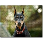 Cakapuzzle Daldan Ayrılmak Üzere Olan Rengarenk Kuş Mdf 255 Parça Puzzle