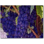 Cakapuzzle Dalında Şaraplık Kara Üzümler Ahşap 255 Parça Puzzle