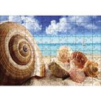 Cakapuzzle Deniz Kabukları 120 Parça Ahşap Puzzle