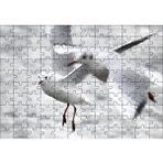 Cakapuzzle Deniz ve Martılar Puzzle