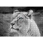 Cakapuzzle Dişi Aslan Monochrome 120 Parça Ahşap Puzzle