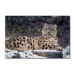 Cakapuzzle Dişi Kar Leoparı 120 Parça Ahşap Puzzle