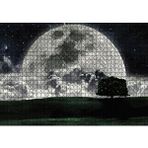 Cakapuzzle Doğa Gecede Ay Güzelliği 120 Parça Ahşap Puzzle
