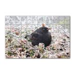 Cakapuzzle Donmuş Çalıların Arasındaki Karatavuk 120 Parça Ahşap Puzzle