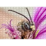 Cakapuzzle Eflatun Çiçeklerin Arasında Boynuzlu Arı Yakın Çekim Puzzle Yapboz Mdf Ahşap